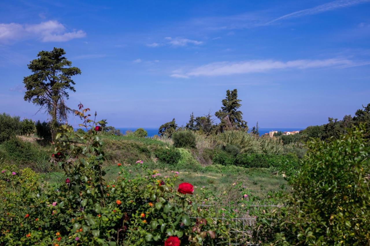 The Olive House Βίλα Κοντομάρι Εξωτερικό φωτογραφία
